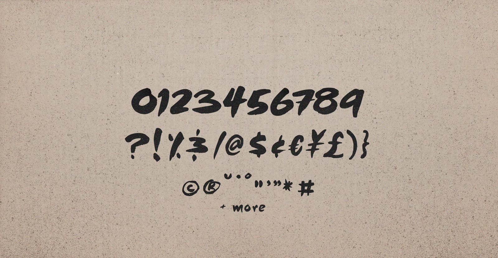 Beat Box Handwritten Brush Script Font - BLKBK Type - Hand Drawn Script Font