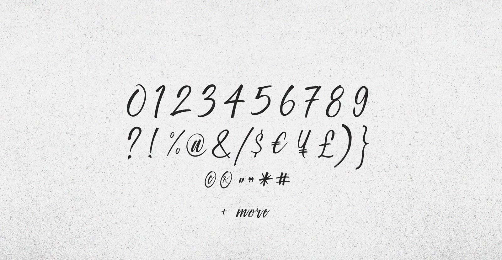 Crown Heights Handwritten Brush Script Font - BLKBK Type - Hand Drawn Script Font