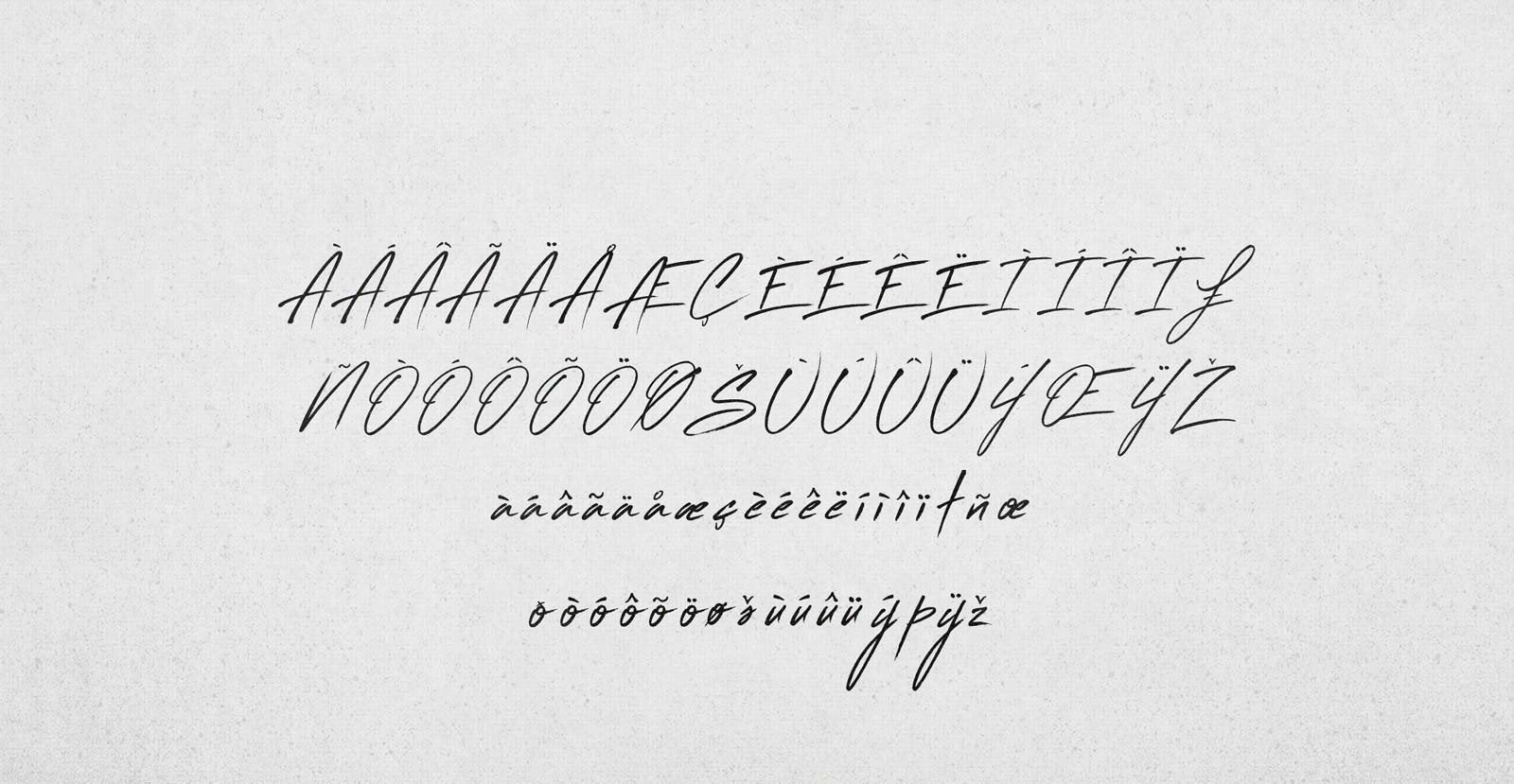 Flash Back Handwritten Brush Script Font - BLKBK Type - Hand Drawn Script Font