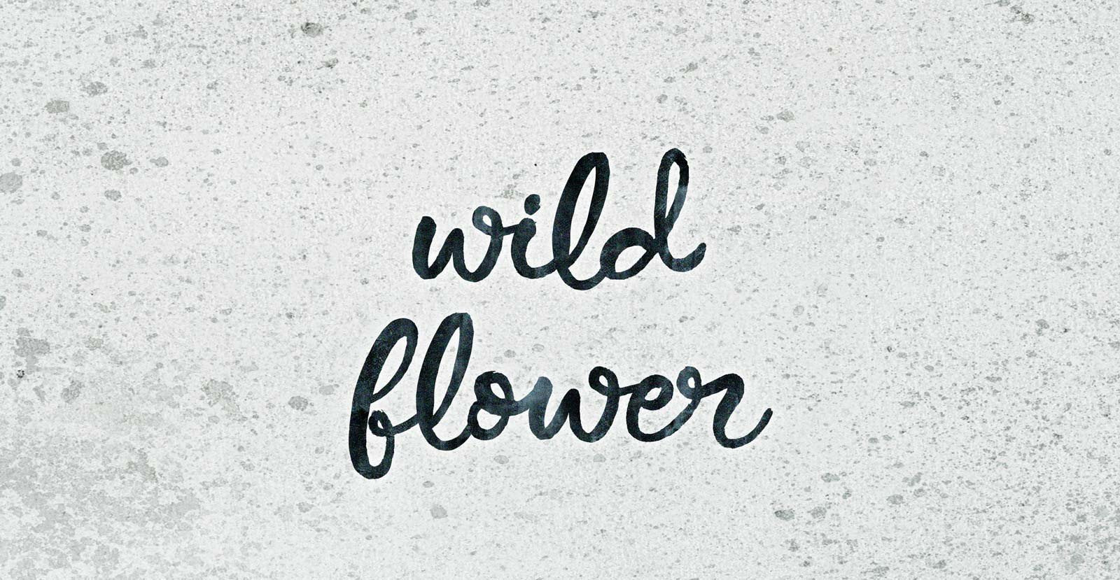 Honey Dip Handwritten Brush Script Font - BLKBK Type - Hand Drawn Script Font