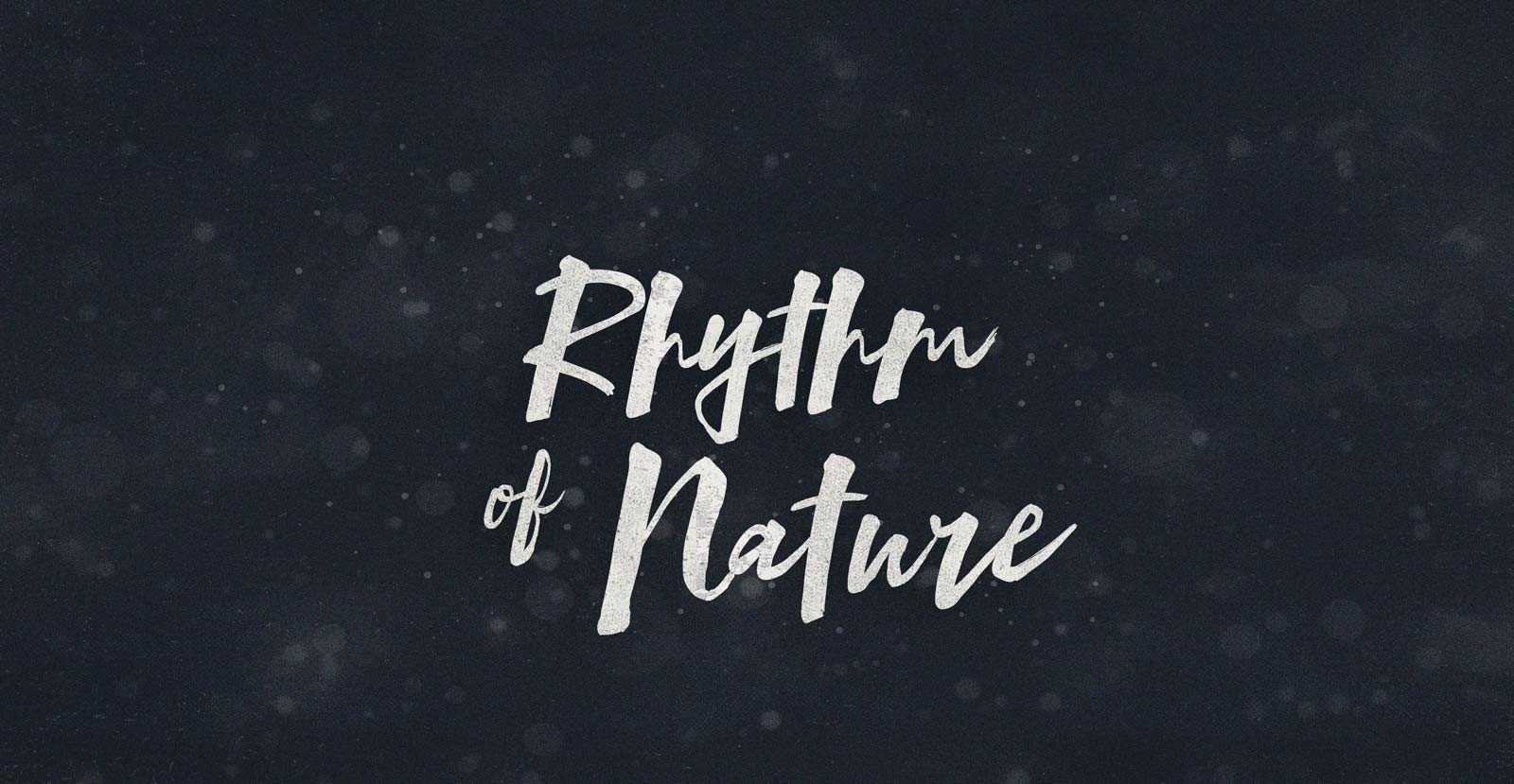 Mind Rush Handwritten Brush Script Font - BLKBK Type - Hand Drawn Script Font