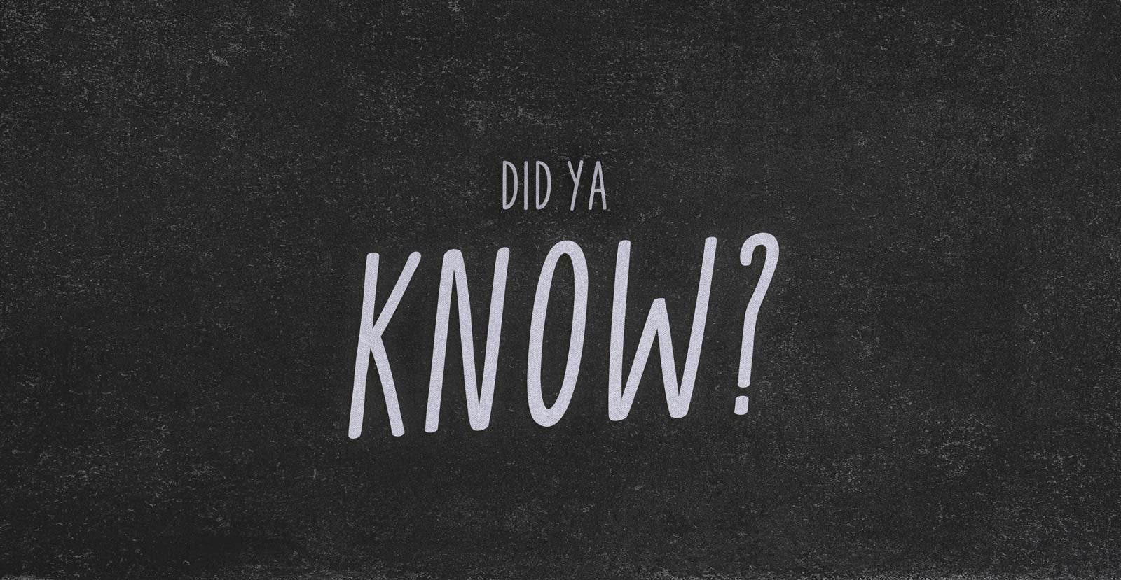 Plain Jane Handwritten Maker Font - BLKBK Type - Hand Drawn Script Font