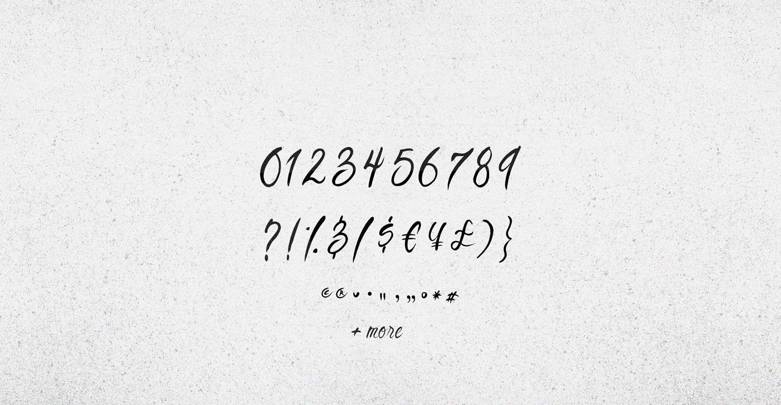 Second Glance Handwritten Brush Script Font - BLKBK Type - Hand Drawn Script Font