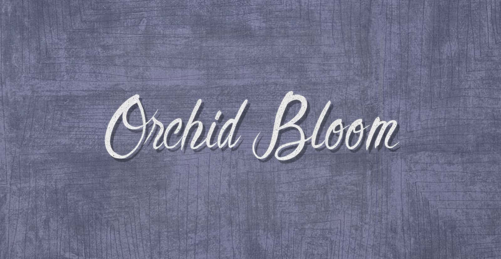 Second Glance Handwritten Brush Script Font - BLKBK Type - Hand Drawn Script Font