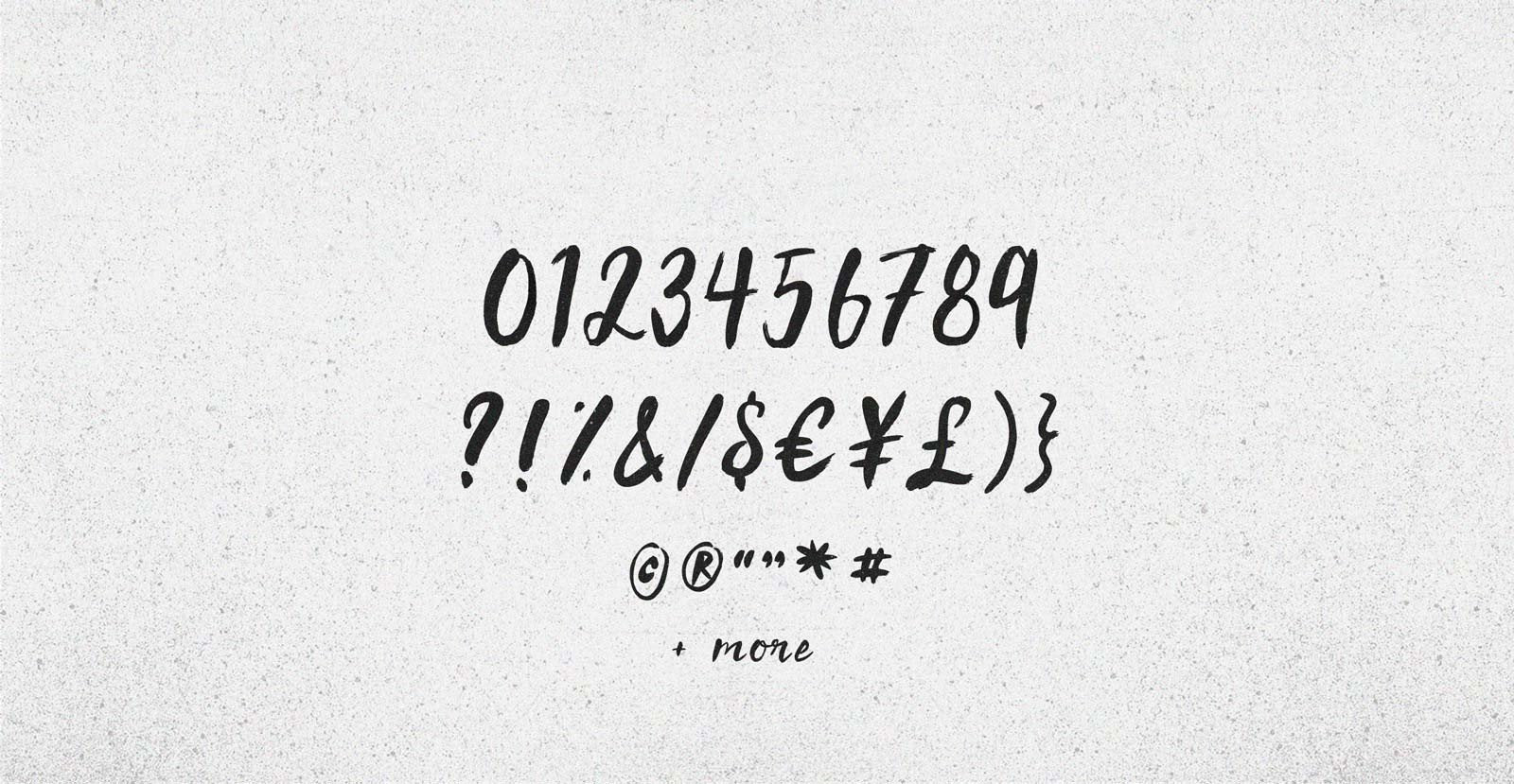 Silk Road Handwritten Brush Script Font - BLKBK Type - Hand Drawn Script Font