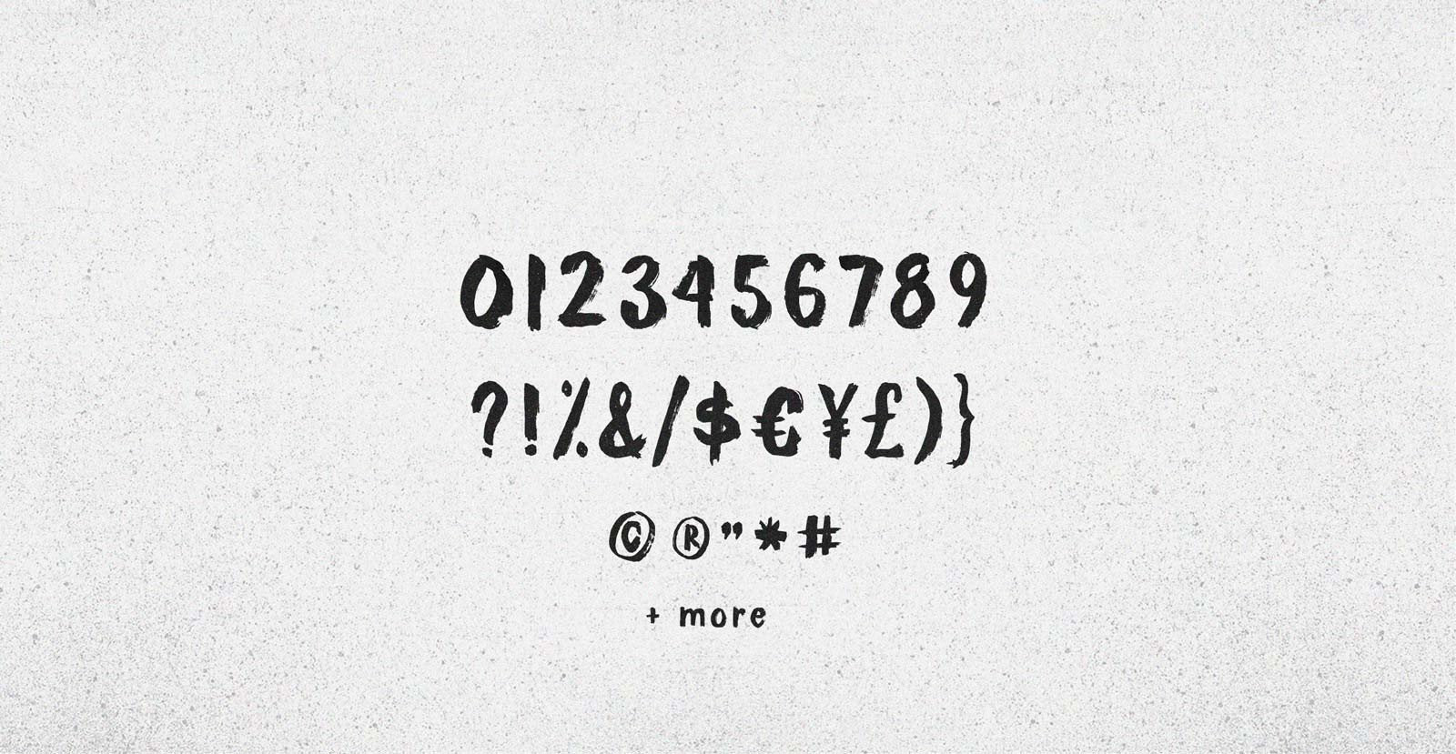 Sure Shot Handwritten Brush Font - BLKBK Type - Hand Drawn Script Font