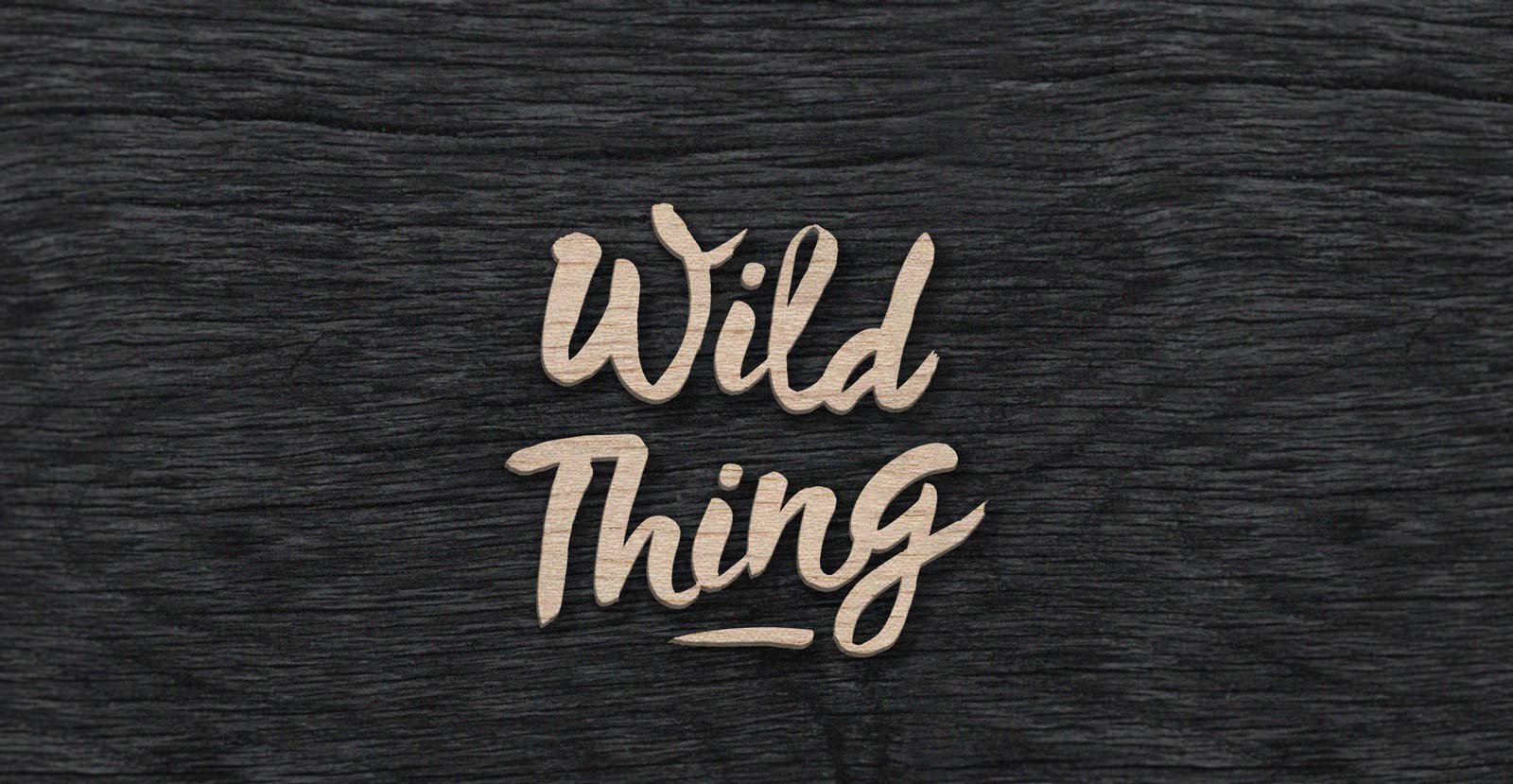 Wild Thing Handwritten Brush Script Font - BLKBK Type - Hand Drawn Script Font