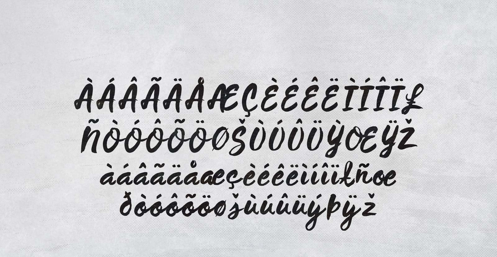 Wild Thing Handwritten Brush Script Font - BLKBK Type - Hand Drawn Script Font