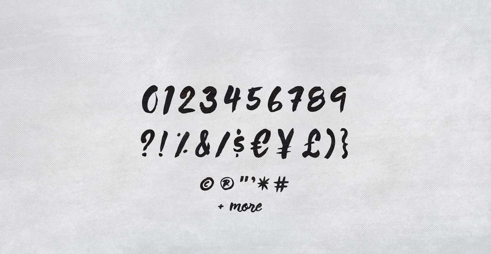 Wild Thing Handwritten Brush Script Font - BLKBK Type - Hand Drawn Script Font